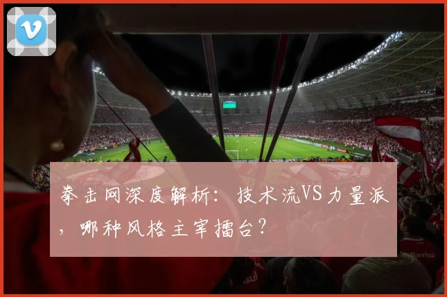 拳击网深度解析：技术流VS力量派，哪种风格主宰擂台？