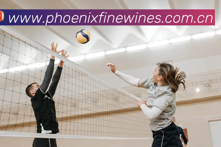 milan米兰官网平台生态图