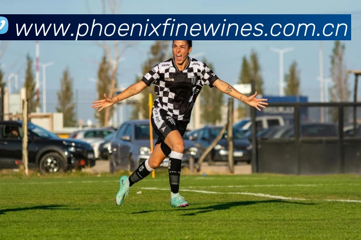 数据防护可视化